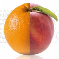 апельсин или персик