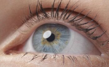 eye formula защиты зрения